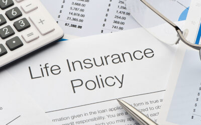 What are the principal types of life insurance?