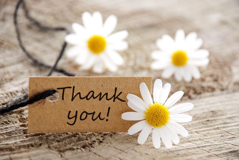 Thank you!